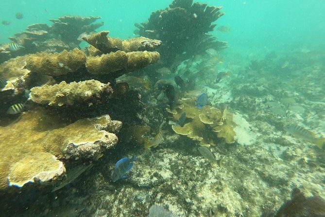 3 Islands Snorkel on boat, Isla Blanca, Contoy, Mujeres - FAQs
