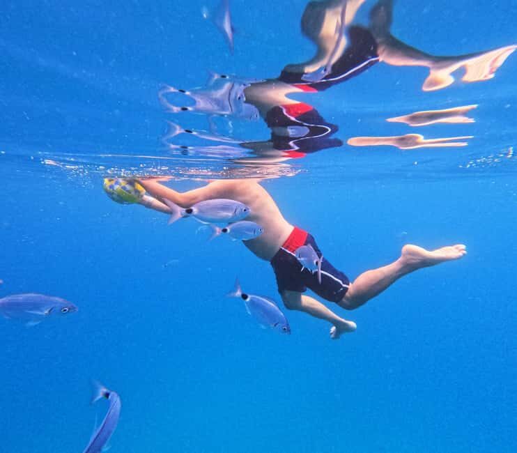 3 Islands Speedboat Tour: Golden Horn, Blue Lagoon & Jelsa - Who Is This Tour Best For?