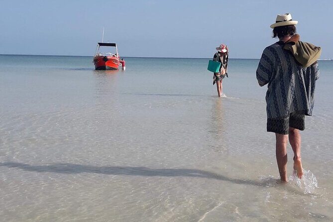 3 Islands tour Holbox. (yalahau, and more) - Final Thoughts: Who Should Consider This Tour?