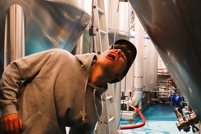 3 Locks Brewing Company Tour and Tasting Experience in Camden - Key Points