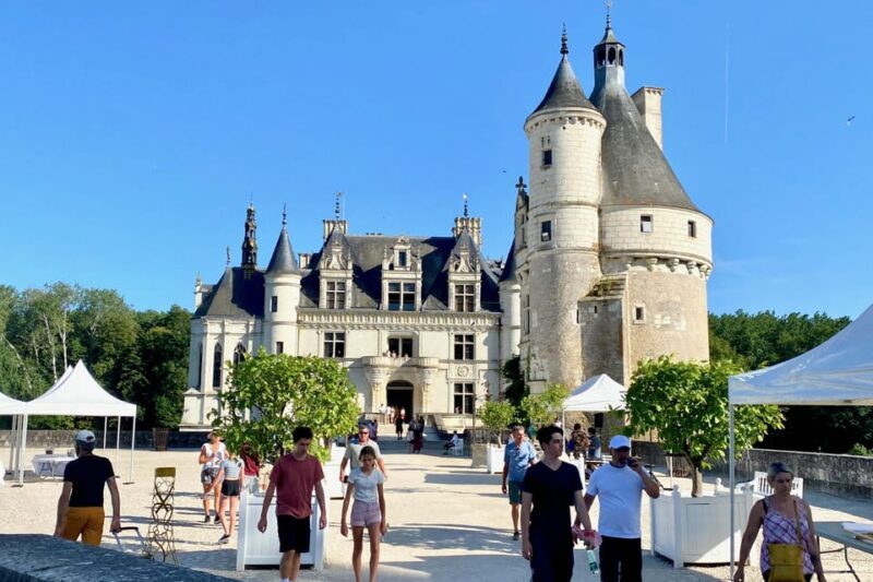 3 Loire Castles Live Guided Small Group by Minivan Winery - Wine Tasting and Lunch