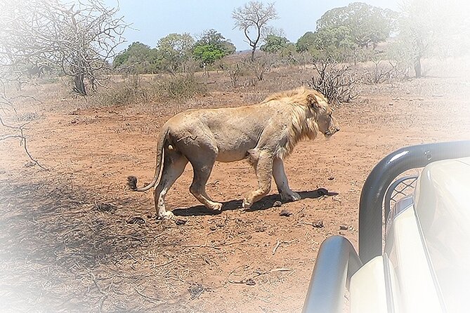 3 Night & 4 Day Private Kruger Park Safari - Cancellation and Accessibility