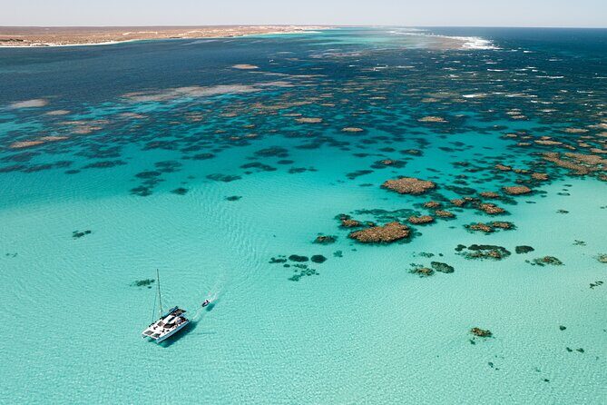 3 Night Ningaloo Reef Snorkel and Dive Getaway from Coral Bay - Why This Tour Truly Shines