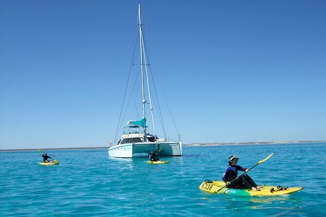 3 Night Ningaloo Reef Snorkel and Dive Getaway from Coral Bay - FAQ