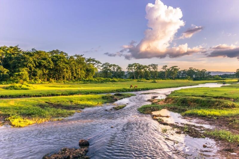 3 Nights 4 Days Chitwan National Park With Tower Night Stay - Booking and Cancellation Policy