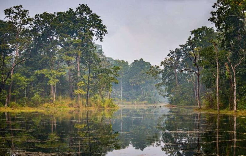 3 Nights 4 Days: Chitwan National Park with Tower Night Stay - An In-Depth Look at the Chitwan National Park Tour