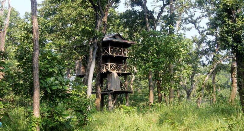 3 Nights 4 Days: Chitwan National Park with Tower Night Stay - The Practicalities and Value