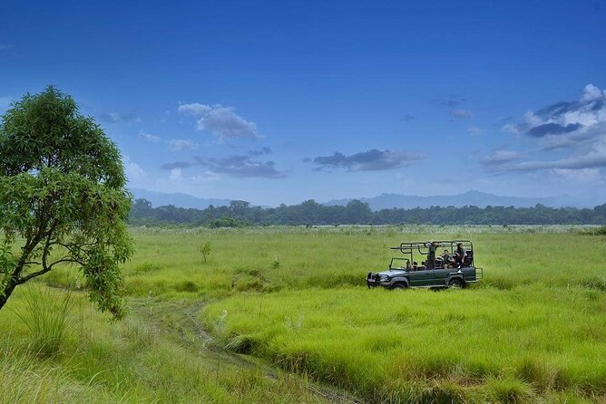 3 Nights 4 Days Chitwan National Park With Tower Night Stay - Accommodation Details
