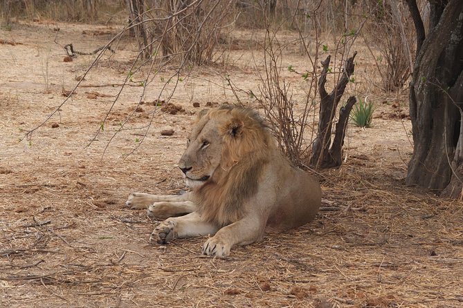 3 Nights 4 Days Ruaha National Park - Key Points