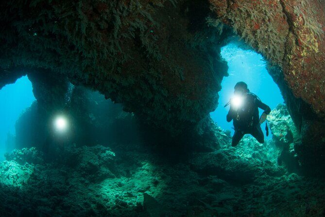 3-Tank Dive Featuring the Molokini Crater - Who Should Consider This Tour?