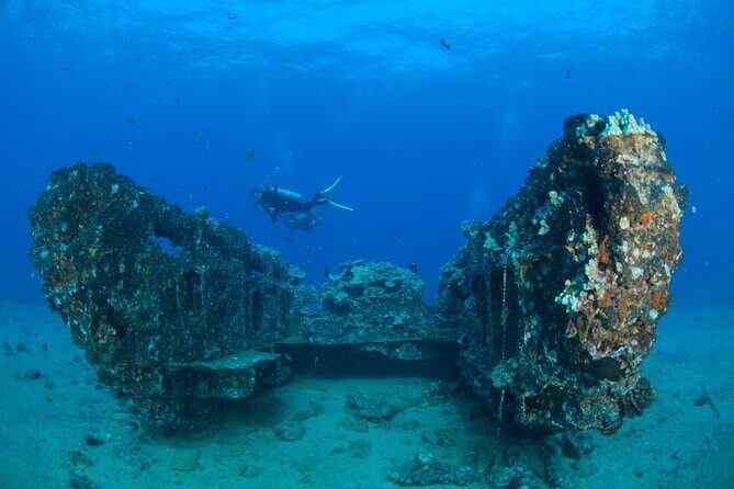 3-Tank Dive Featuring the Molokini Crater - The Sum Up