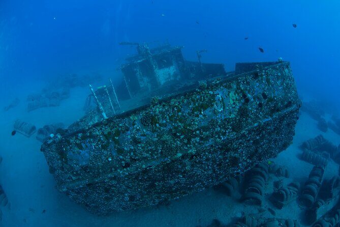 3-Tank Dive Featuring the Molokini Crater - Frequently Asked Questions