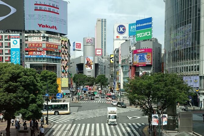 3 to 5 Hours Private Tour in Tokyo With Local Guide - Local Guide Expertise