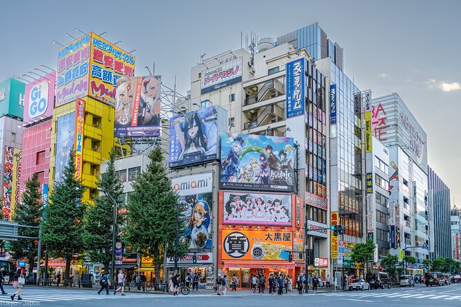 3 to 5 Hours Private Tour in Tokyo With Local Guide - Transportation and Accessibility