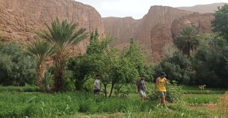 3 Valleys & Berber Villages and Atlas Mountains and - Good To Know
