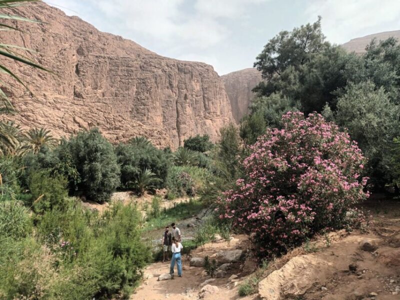 3 Valleys & Berber Villages and Atlas Mountains and - Itinerary Highlights