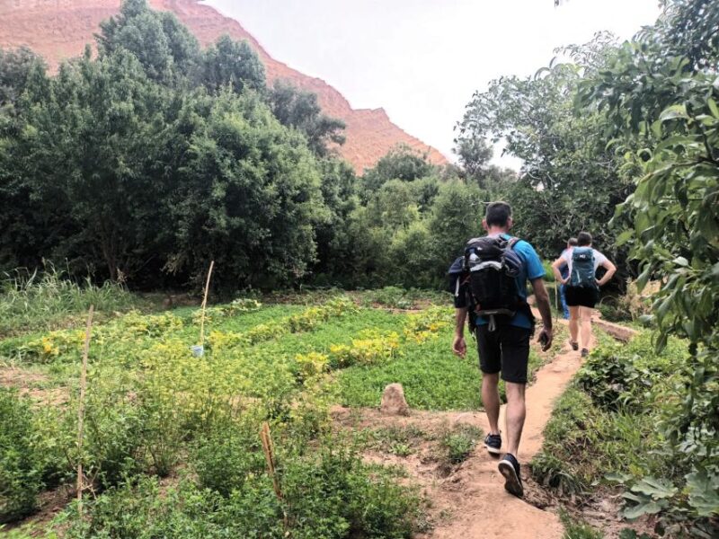 3 Valleys & Berber Villages and Atlas Mountains and - Scenic Route and Experience