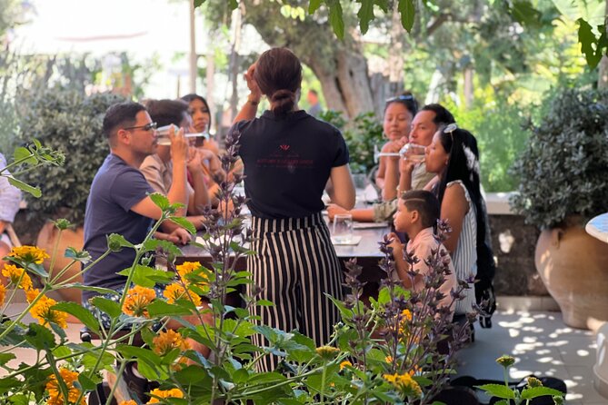 3 Wineries Wine Tasting & Greek Meal -Food and Wine Pairing - Additional Information
