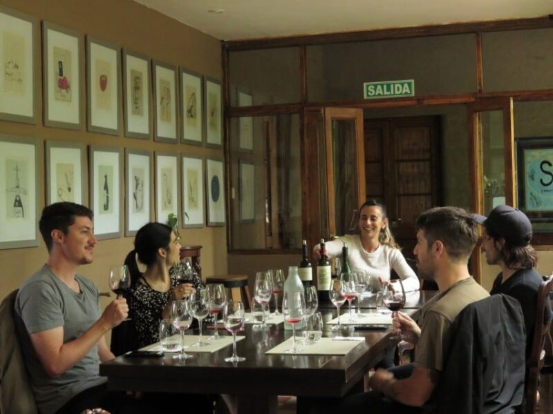 3 Wineries+Lunch With Unlimited Wine+Transfer Included - Wineries in Mendoza