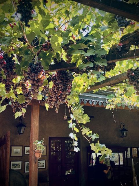 3 Wineries+Lunch With Unlimited Wine+Transfer Included - Transportation Details