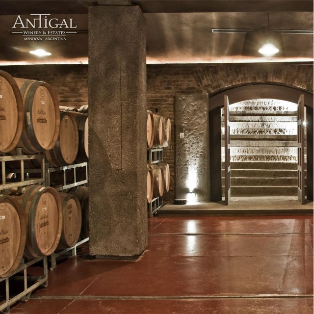 3 Wineries+Lunch With Unlimited Wine+Transfer Included - Inclusions and Benefits