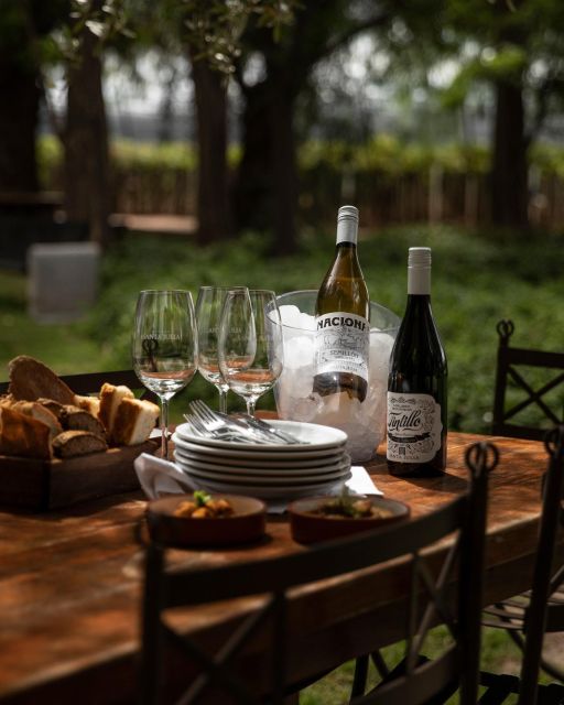 3 Wineries+Lunch With Unlimited Wine+Transfer Included - Customer Experiences
