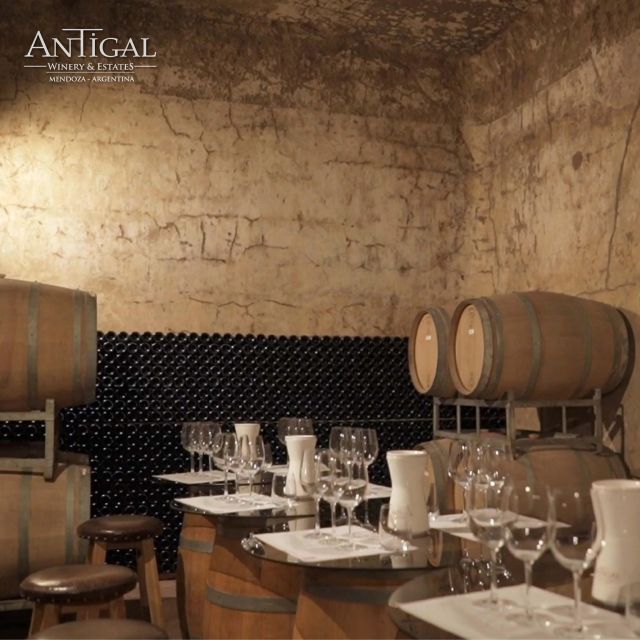 3 Wineries+Lunch With Unlimited Wine+Transfer Included - Booking Information