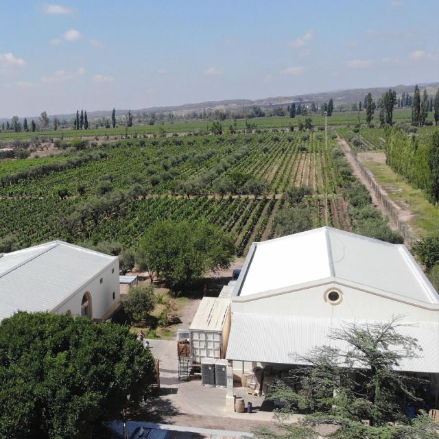 3 Wineries+Lunch With Unlimited Wine+Transfer Included - Frequently Asked Questions