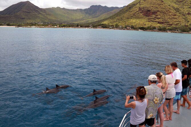3 Ziplines & Dolphin Watching Snorkel Adventure - Key Points