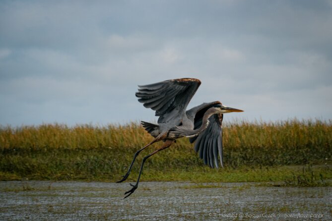 30-Minute Airboat Ride Near Orlando - Directions