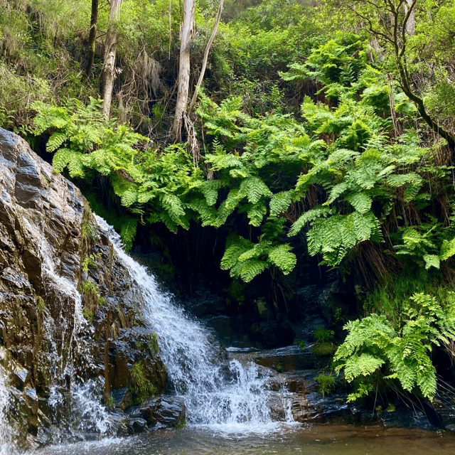 30 minutes from Porto: Waterfalls, Hiking and Picnic - Key Points