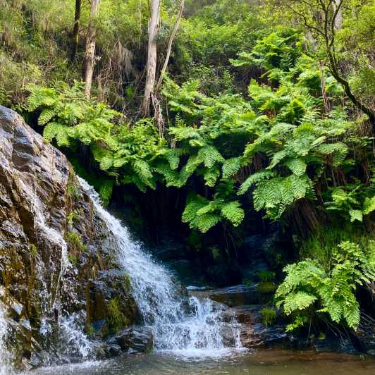 30 minutes from Porto: Waterfalls, Hiking and Picnic - An In-Depth Look at the Tour Experience