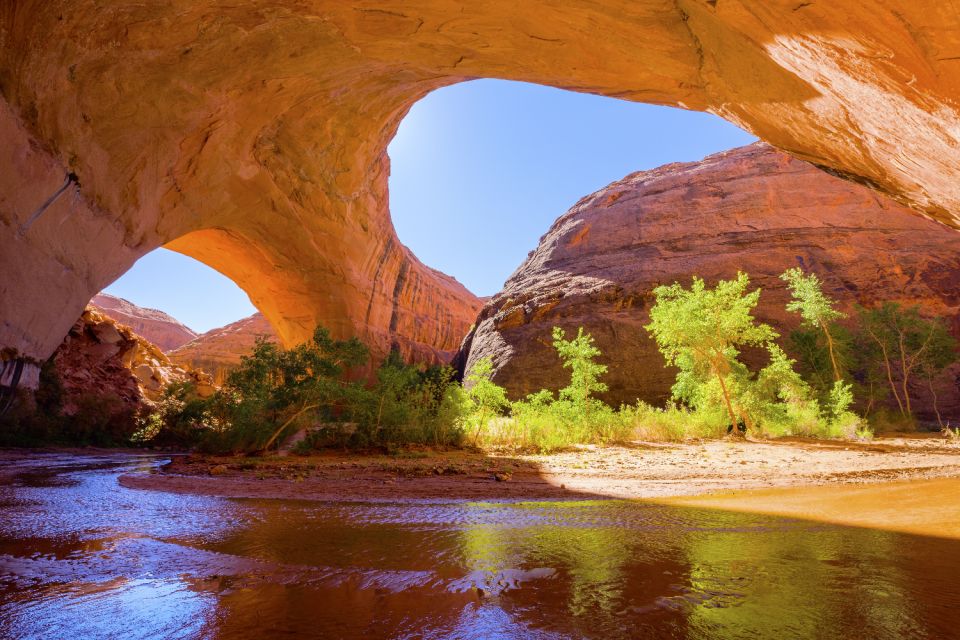 30+ National Parks Self-Guided Driving Tours Bundle - Observe Wildlife Across the Country