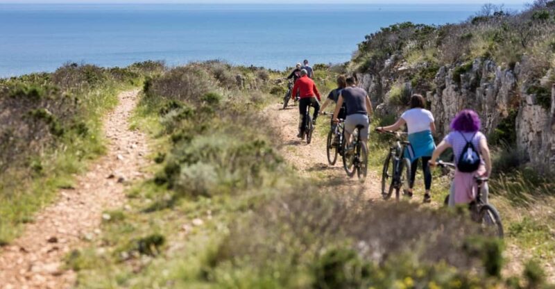 30KM E-Bike Tour - From Verudela, Pula to Cape Kamenjak - Tour Highlights
