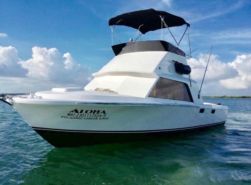31ft Bertram Cancun Fishing Boat - Highlights and Experiences