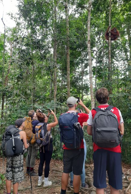 3D2N Orangutan Expedition:from Bukit Lawang - Expert Guided Exploration
