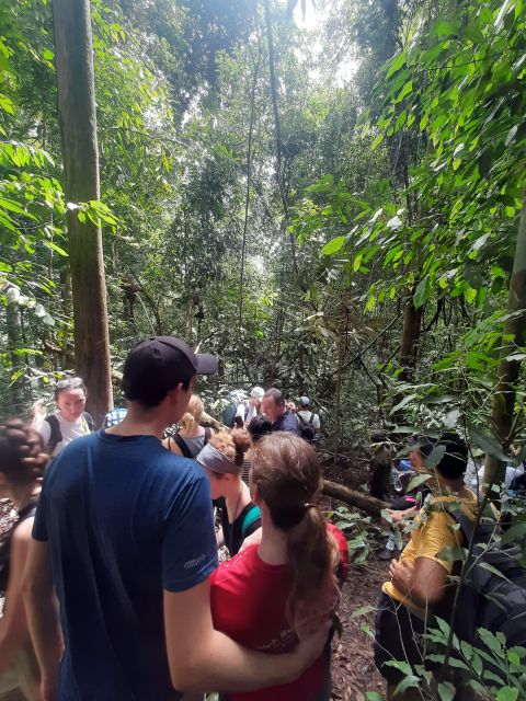 3D2N Orangutan Expedition:from Bukit Lawang - Comprehensive Trek Inclusions
