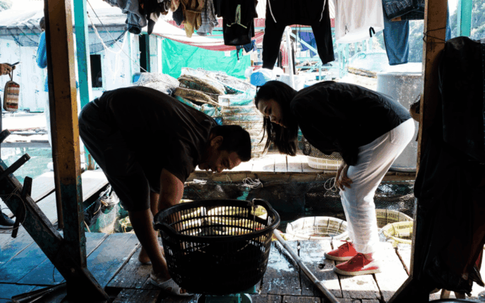 3D2N Venturing Into Cat Ba Archipelagos Wildlife - Inclusions and Exclusions