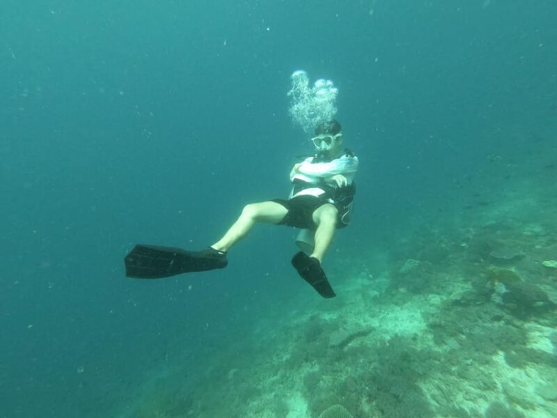 3Days and 2Nights in Puerto Galera: Scuba and Hike to Falls - Underwater Biodiversity