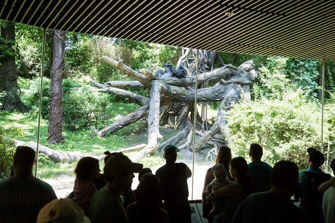 3Days New York City Tour With Professional Photographer - Final Thoughts