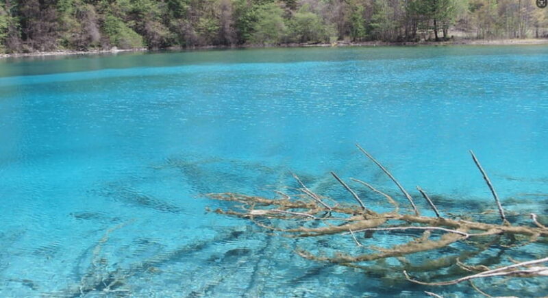3days tour Huanglong&jiuzhaigou by bullet train from Chengdu - Final Thoughts