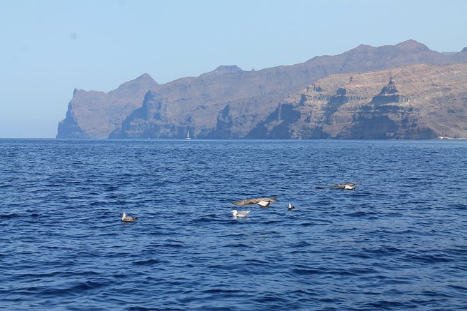 3h Boat Trip + Snorkeling in Puerto De Mogan - Guest Reviews and Testimonials