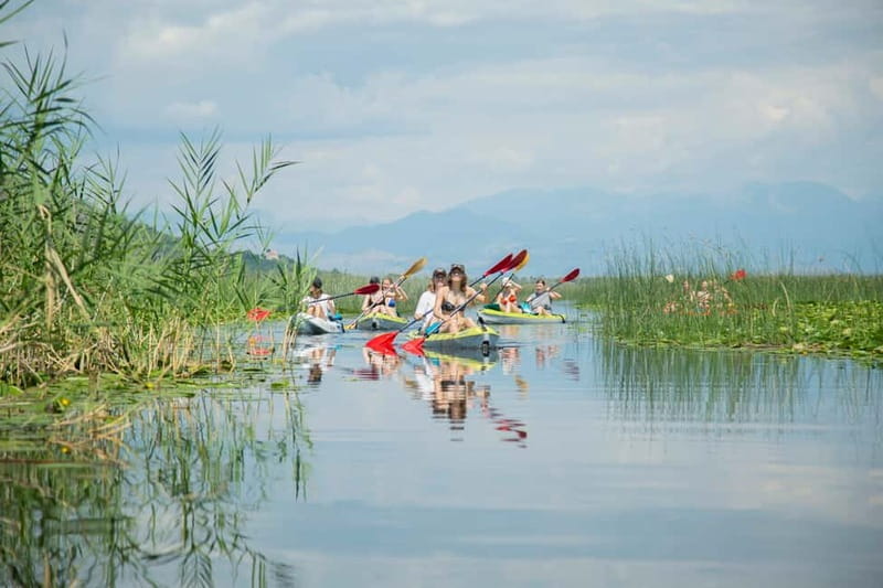 3h Guided Kayaking Adventure on Skadar Lake to hidden spots! - Practical Details and Value