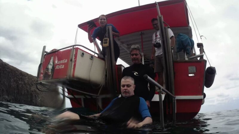 3H Private O Shared Tour to Accessible Boat En Canary Island - Accessibility Features