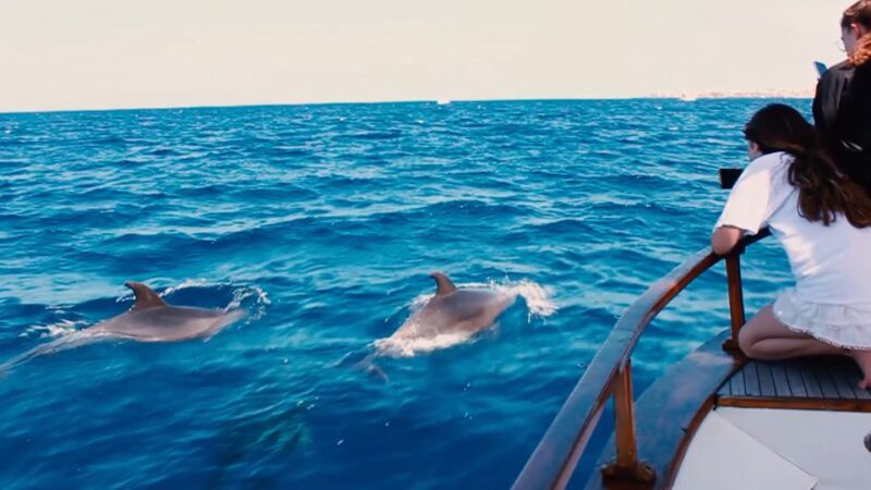 3H Private O Shared Tour to Accessible Boat En Canary Island - Wildlife and Scenic Experiences