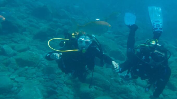 3H Private O Shared Tour to Accessible Boat En Canary Island - Tour Duration and Schedule
