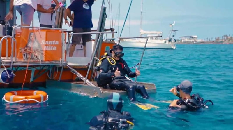 3H Shared Barrier-Free Cruise with Turtles Dolphins & Whales - Key Points