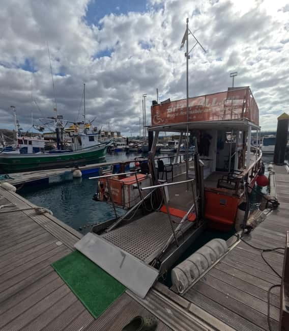 3H Shared Barrier-Free Cruise with Turtles Dolphins & Whales - Why Accessibility Matters