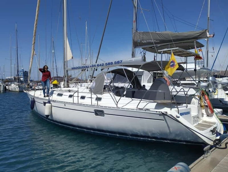 3h Whale Watching Private tour Beneteau Oceanis 440 - An Honest Look at the 3-Hour Private Whale Watching Tour on a Beneteau Oceanis 44