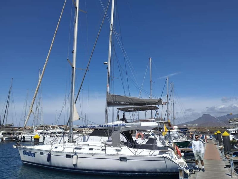 3h Whale Watching Private tour Beneteau Oceanis 440 - The Marine Wildlife: Why It Matters